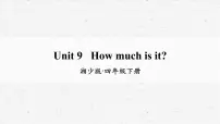 小学湘少版Unit 9 How much is it?教学课件ppt