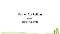 陕旅版五年级下册Unit 6 My Holiday教学课件ppt