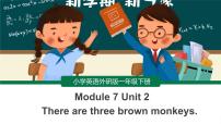 外研版 (一年级起点)一年级下册unit 2 There are three brown monkeys.教案配套课件ppt
