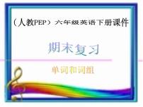 （人教PEP )六年级下册 小学英语词汇复习