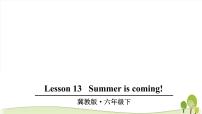 冀教版 (三年级起点)六年级下册Unit 3 What Will You Do This Summer?Lesson 13 Summer is coming!课文ppt课件