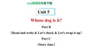 人教版 (PEP)五年级下册Unit 5 Whose dog is it? Part B精品ppt课件