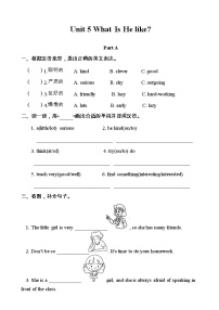 小学英语陕旅版六年级下册Unit 5 What Is He like?课后复习题