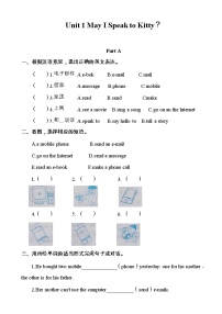 陕旅版六年级下册Unit 1 May I Speak to Kitty？同步测试题