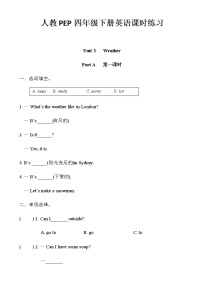 小学人教版 (PEP)Unit 3 Weather综合与测试精练