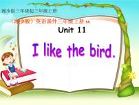 小学英语湘少版三年级上册Unit 11 I like the bird授课ppt课件