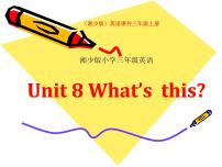 小学英语湘少版三年级上册Unit 8 What's this背景图ppt课件