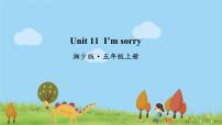 湘少版五年级上册Unit 11 I'm sorry.课前预习课件ppt