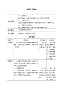 小学科学教科版 (2017)一年级上册6.校园里的植物教案设计