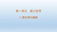 小学科学教科版 (2017)六年级上册7.微生物与健康教课内容ppt课件