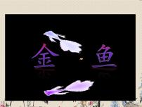教科版三年级上册6、金鱼教课内容ppt课件