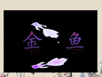 教科版三年级上册6、金鱼教课内容ppt课件