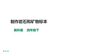 小学科学教科版 (2017)四年级下册4.制作岩石和矿物标本教案配套ppt课件