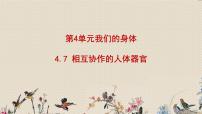 小学科学7、相互协作的人体器官图文课件ppt