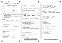 2020-2021学年教科版科学三年级第一学期期末考试调研测试卷（含答案）