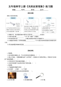 小学科学教科版五年级上册第一单元第6课《光的反射现象》练习题3（2021新版，含答案）