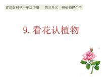 青岛版 (六三制2017)一年级下册9 看花认植物说课课件ppt