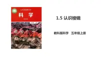 小学科学教科版 (2017)五年级上册5.认识棱镜课堂教学课件ppt