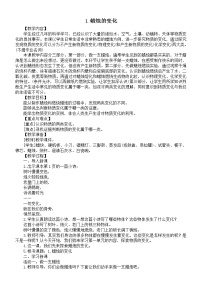 小学科学苏教版 (2017)六年级上册1 蜡烛的变化教案
