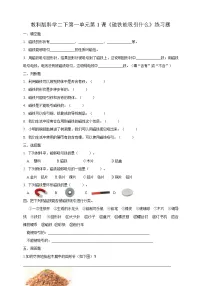 教科版 (2017)二年级下册1.磁铁能吸引什么课后复习题