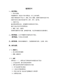 小学科学教科版三年级上册植物5、植物的叶教案设计