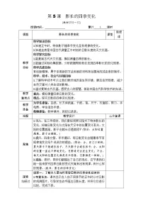 教科版 (2017)六年级上册5.影长的四季变化表格教案