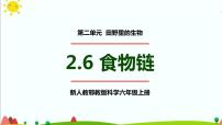 小学科学人教鄂教版 (2017)六年级上册6 食物链评课ppt课件