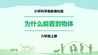 粤教粤科版 (2017)六年级上册第1单元 光1 为什么能看到物体完美版课件ppt