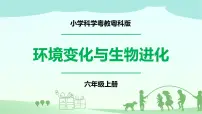 小学科学粤教粤科版 (2017)六年级上册22 环境变化与生物进化完整版ppt课件