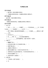 科学四年级上册1 鸟和哺乳动物学案