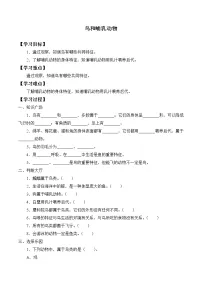 科学四年级上册1 鸟和哺乳动物学案