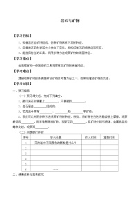 小学科学粤教粤科版 (2017)四年级上册10 岩石与矿物导学案