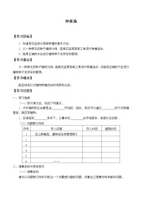 小学科学粤教粤科版 (2017)四年级上册1 种番茄导学案及答案