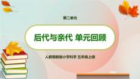 小学科学人教鄂教版 (2017)五年级上册第二单元 后代与亲代6 植物的后代与亲代教学ppt课件