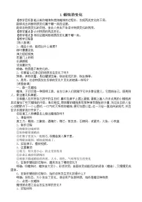 苏教版1.蜡烛的变化教学设计