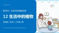 青岛版 (六三制2017)二年级上册第四单元 生活中的动植物资源12 我们的食物教课课件ppt