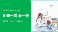 小学科学青岛版 (六三制2017)一年级上册6 闻一闻 尝一尝教学ppt课件