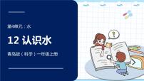 小学科学12 认识水图文课件ppt