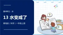 小学科学青岛版 (六三制2017)一年级上册13 水变咸了教案配套课件ppt