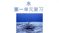 教科版 (2017)三年级上册水综合与测试复习ppt课件