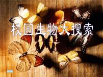 科学六年级上册1、校园生物大搜索课文内容课件ppt