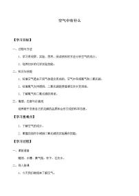 小学科学苏教版四年级上册3.空气中有什么学案设计