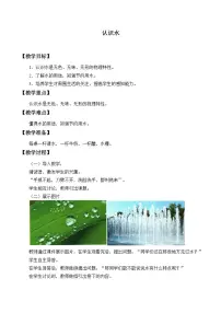 科学一年级上册12 认识水教案