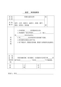 苏教版六年级上册实验目录+实验报告