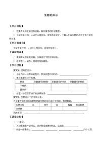 小学科学青岛版 (六三制)六年级上册25、生物的启示学案