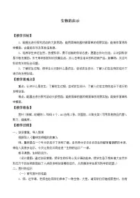 青岛版 (六三制)六年级上册25、生物的启示教案
