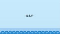 小学科学首师大版六年级下册3.微生物背景图课件ppt