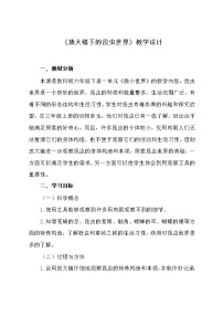 教科版六年级下册2、放大镜下的昆虫世界教学设计及反思