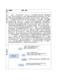 科学五年级上册11 热辐射一等奖教案设计