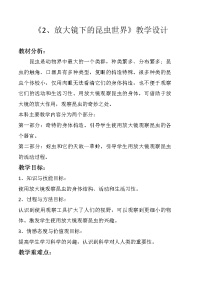 教科版六年级下册2、放大镜下的昆虫世界教案设计